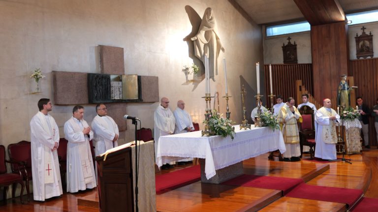 Celebración de la Festividad de San Martín